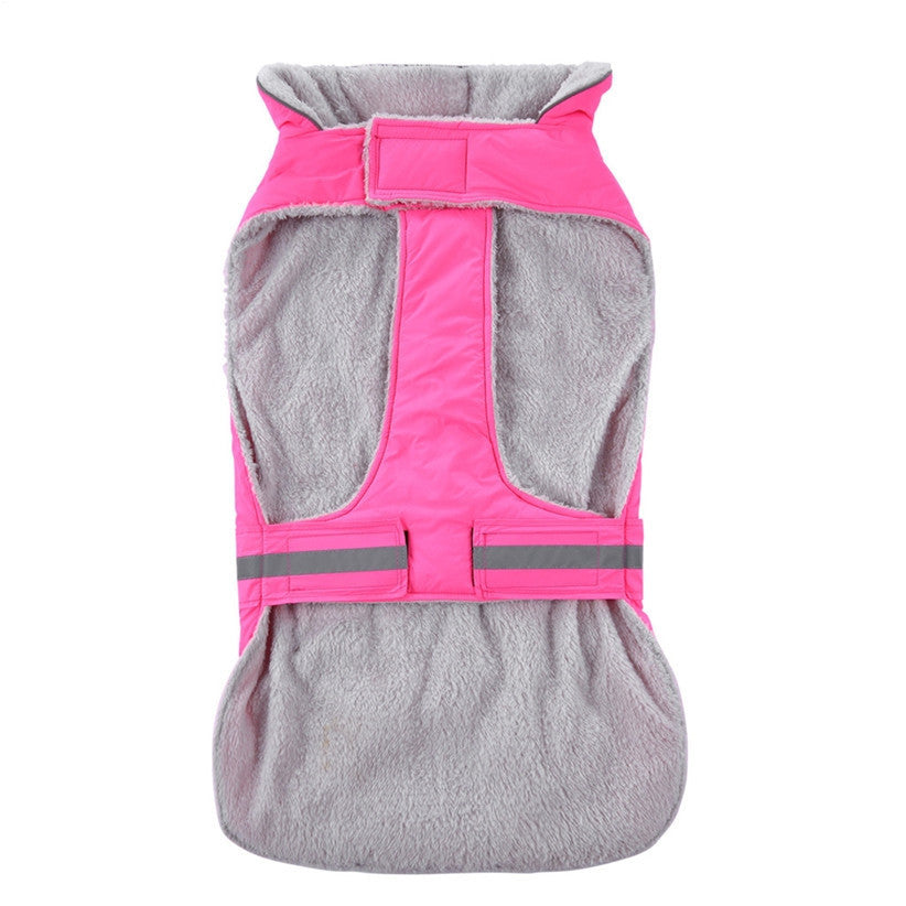 Winter clothes night pet clothes