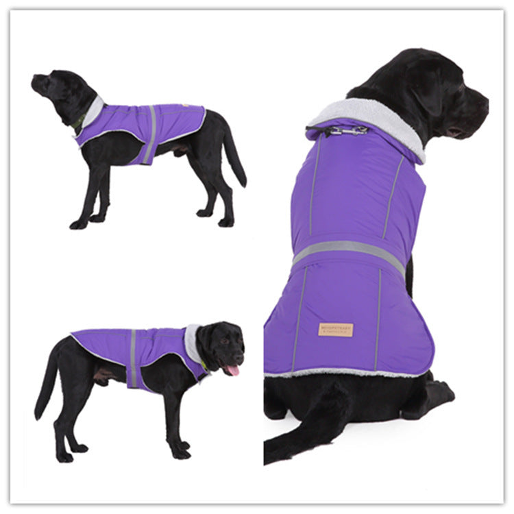 Winter clothes night pet clothes