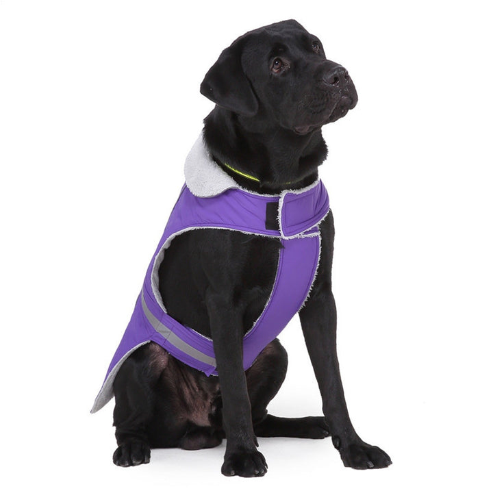 Winter clothes night pet clothes