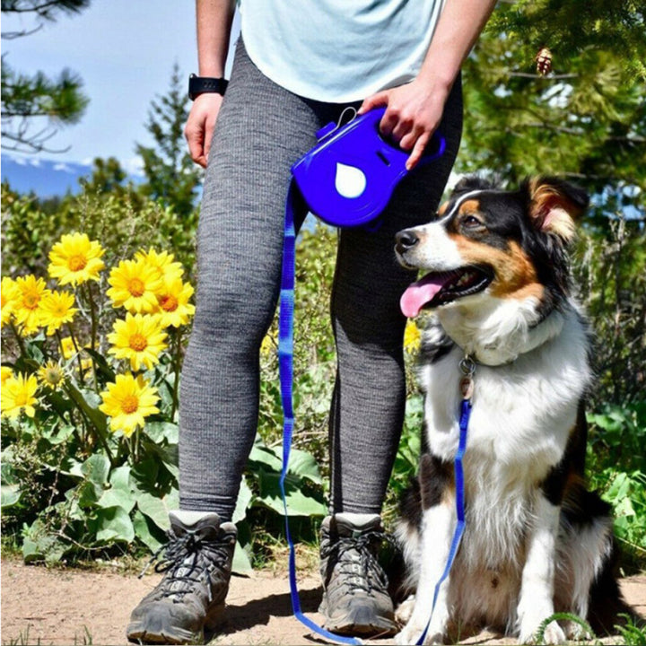 Retractable Portable Dog Leash