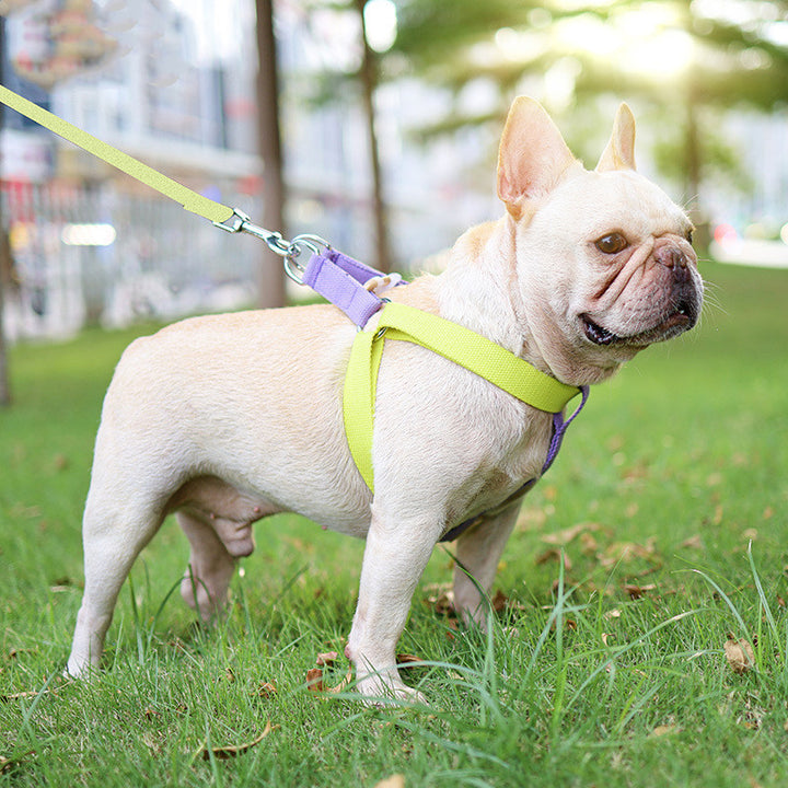 Pet Drawstring Leash Vest-style Dog Leash