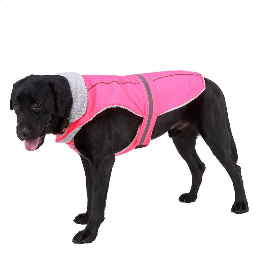 Winter clothes night pet clothes