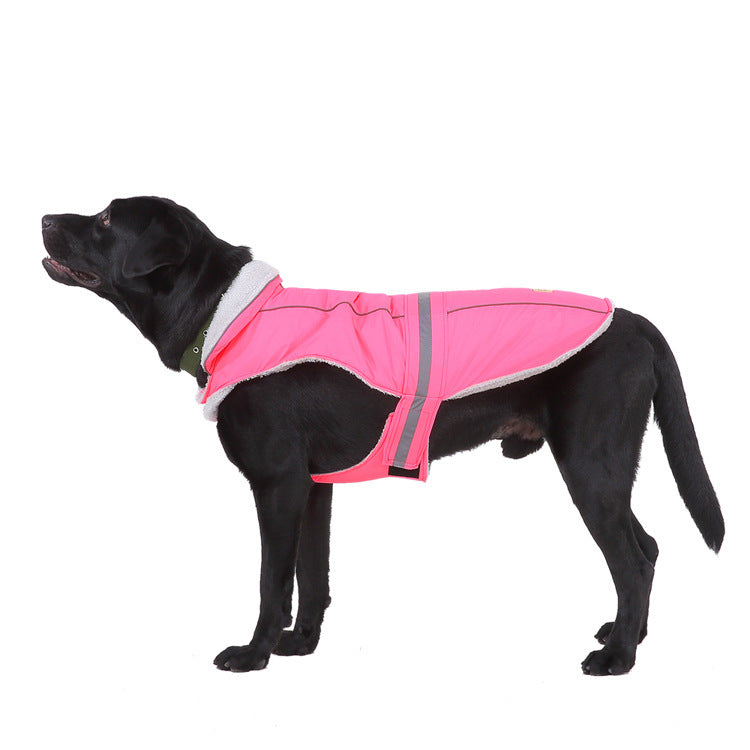Winter clothes night pet clothes