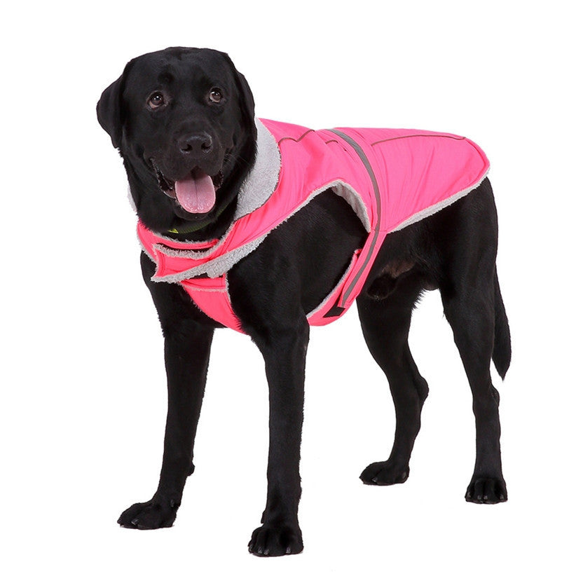 Winter clothes night pet clothes