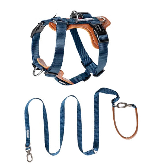 Dog Rope Leash Okinawa Dog Leash
