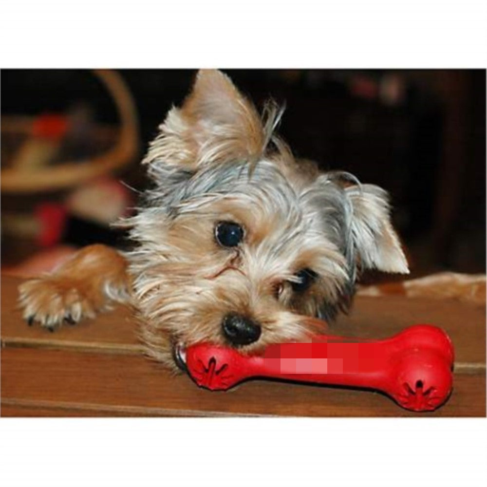 Dog Toys Bite Resistant Rubber Teeth