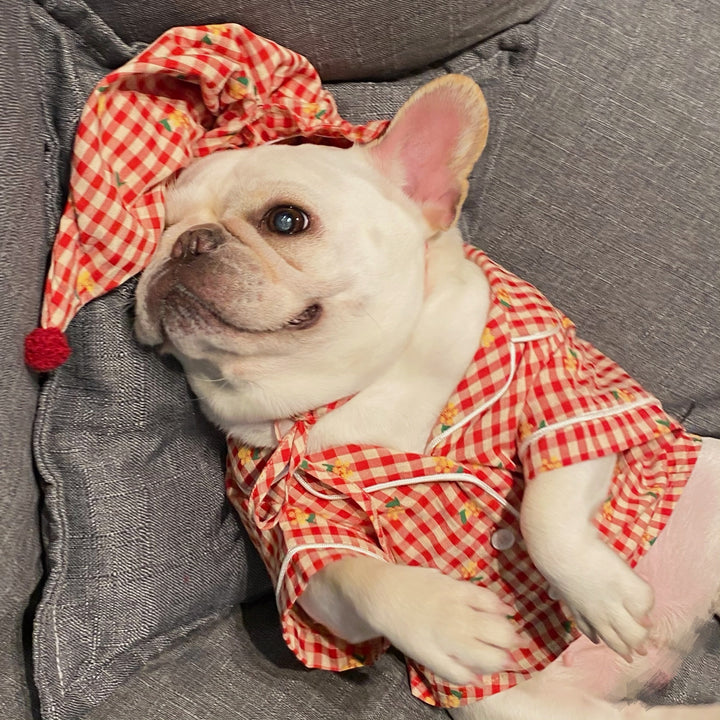 Clothes, Dogs Cats Favs Teddy