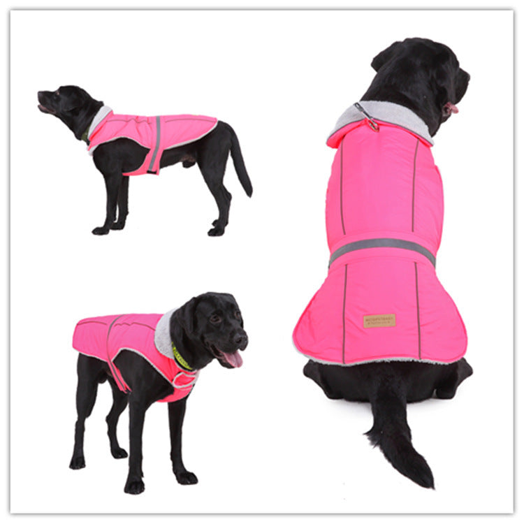 Winter clothes night pet clothes