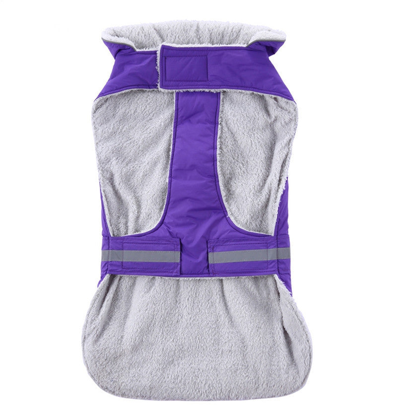 Winter clothes night pet clothes