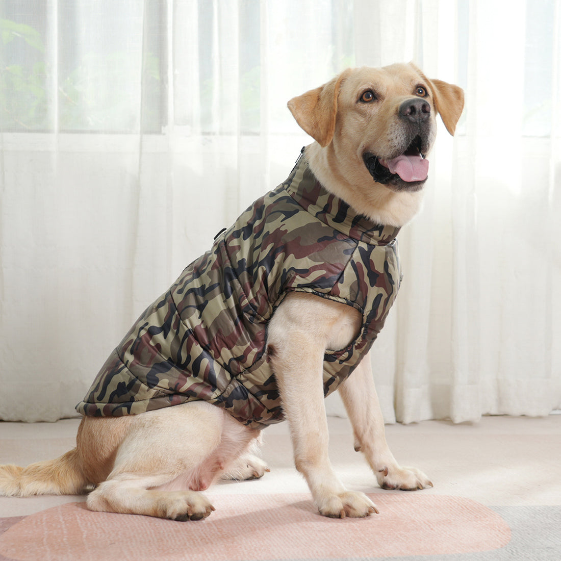 Pet Clothing Winter Dog Clothes