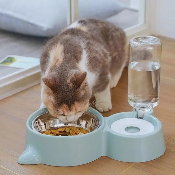 Pet Dog Cat Bowl