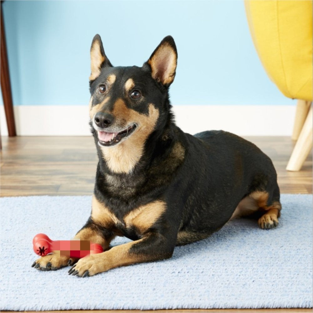 Dog Toys Bite Resistant Rubber Teeth