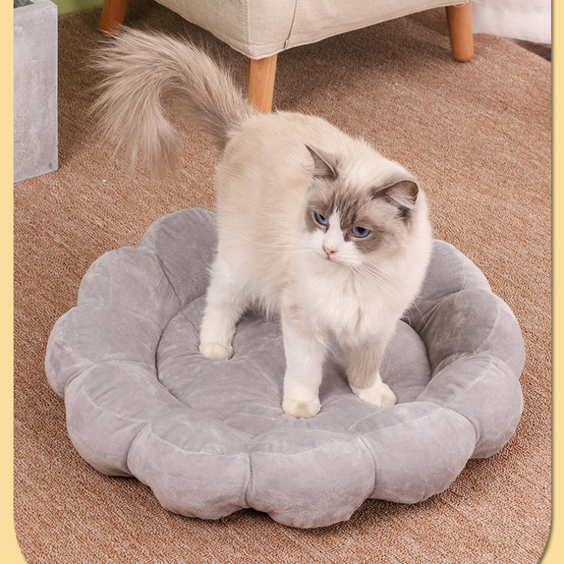 Multi Color Petal Dog Bed