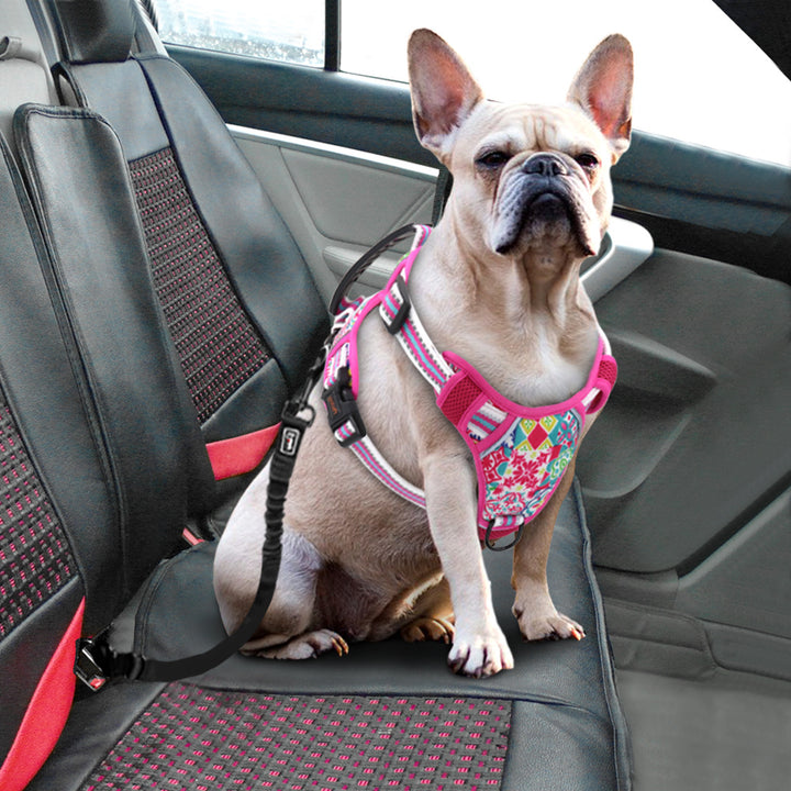 Small Medium And Large Dog Pet Leash