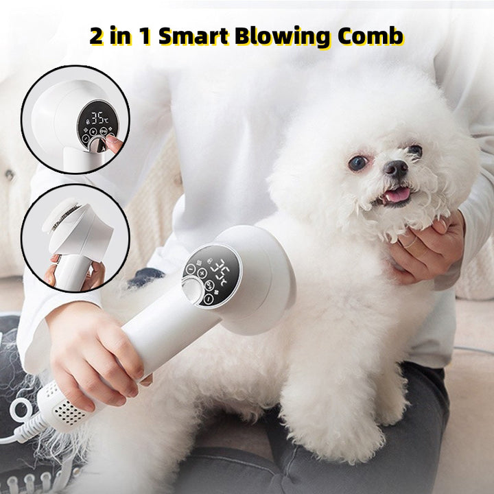 Golden Retriever Cat Grooming